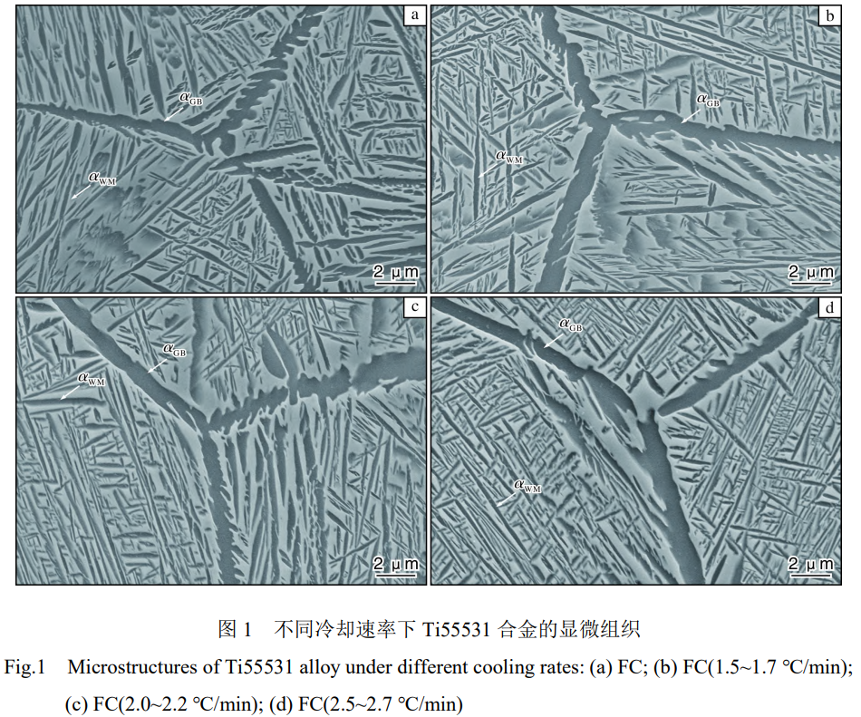 1760927745477616.png 截圖20251020103410.png